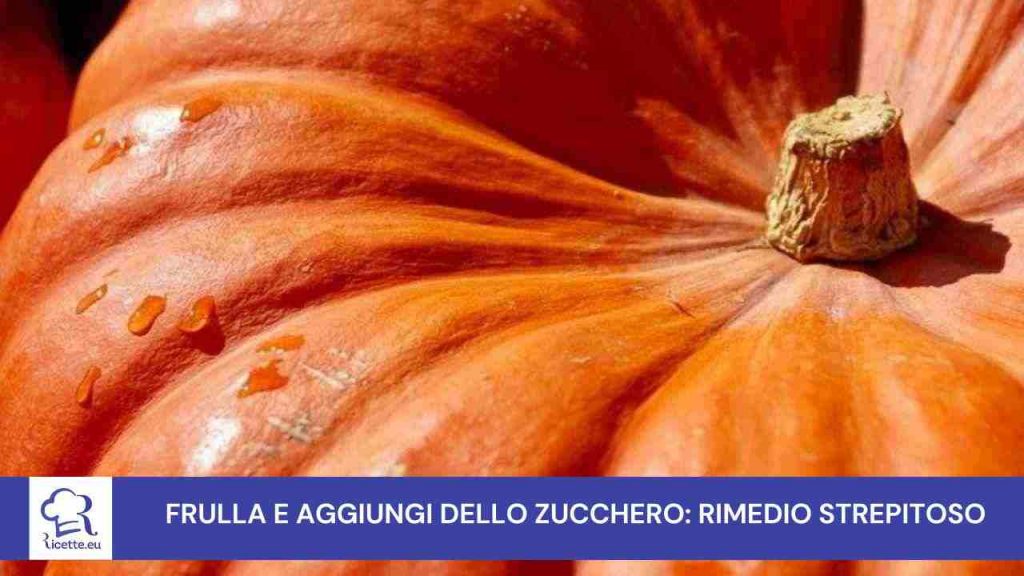 zucca zucchero