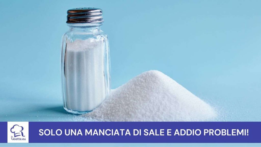 Manciata di sale