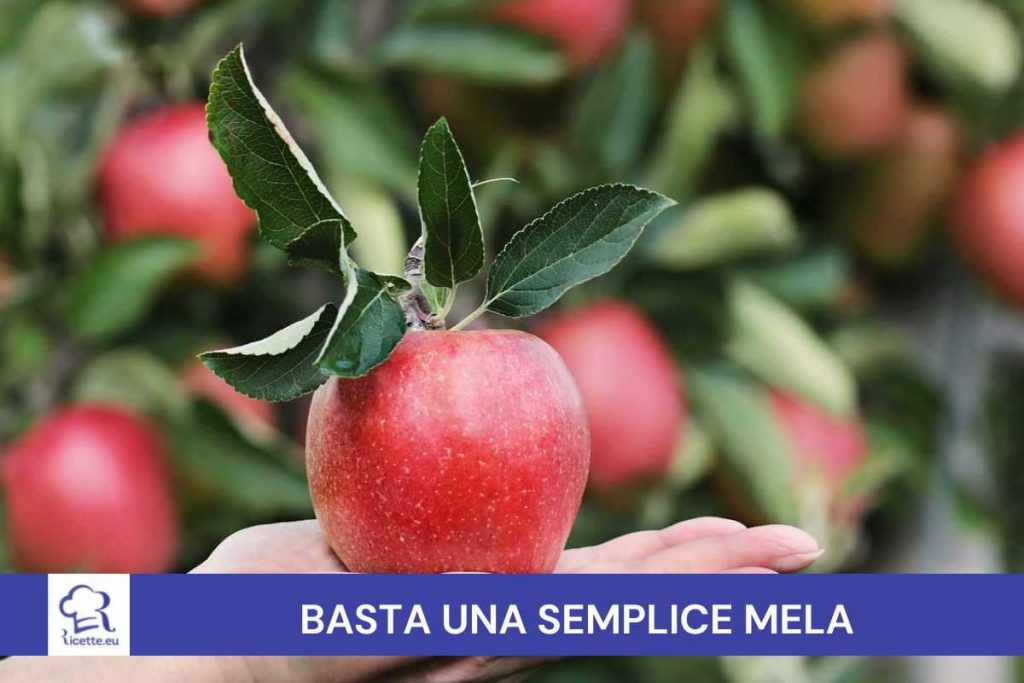 Mela semi piantina