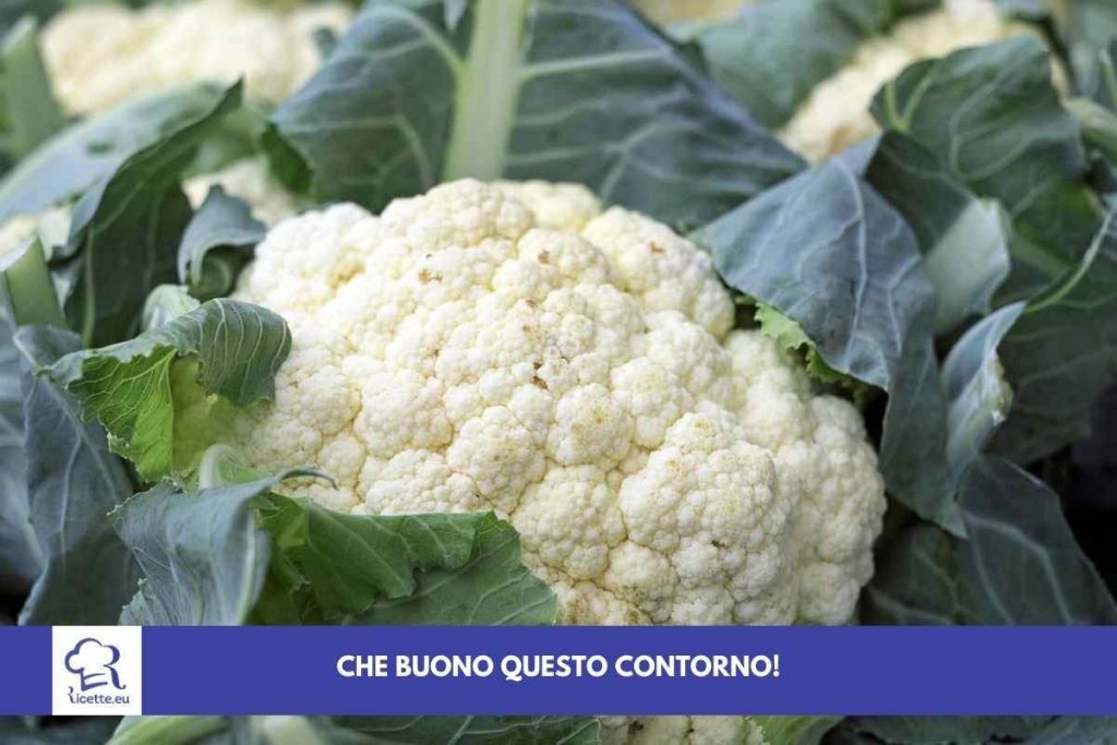 Ricetta cavolfiore contorno