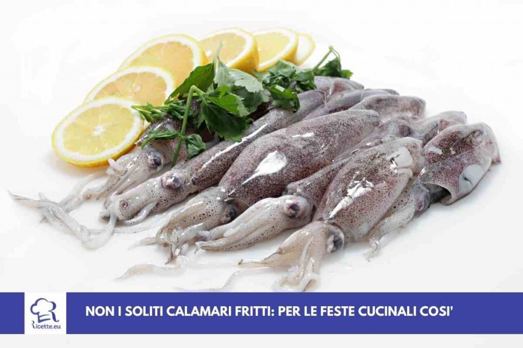 calamari feste