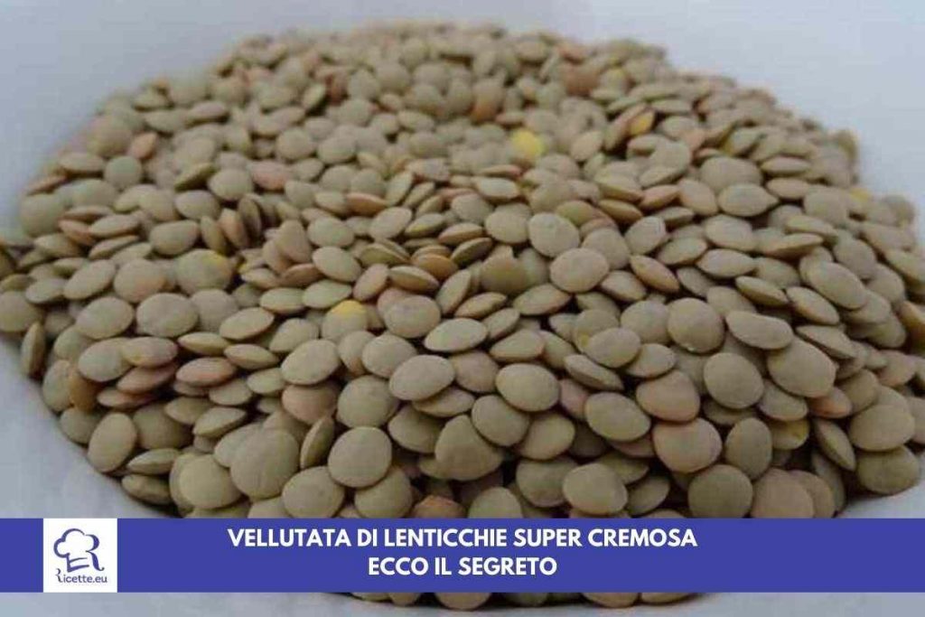 lenticchie ricetta vellutata