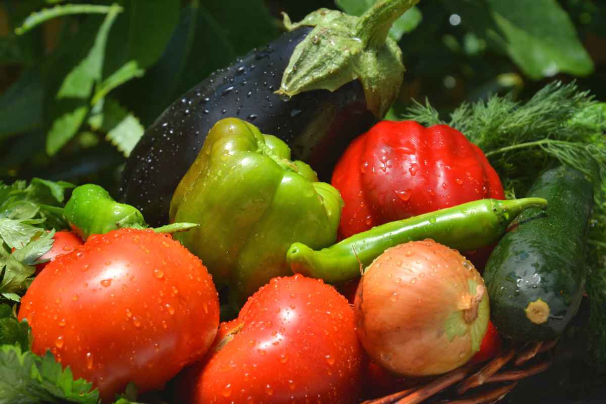 Verdure estive: pomodori, peperoni, zucchine e melanzane