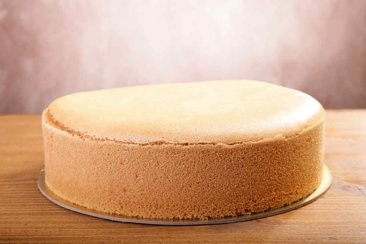 Una base di pan di spagna per torta
