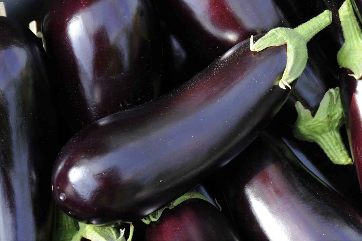 Melanzane lunghe napoletane